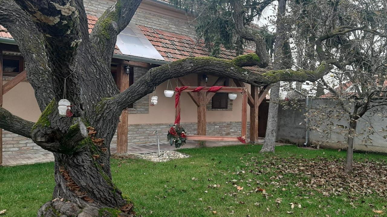 Villa Rusztika 久洛 外观 照片